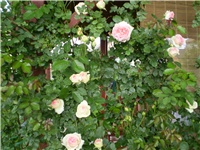 f877d53f-Picture 4395.jpg